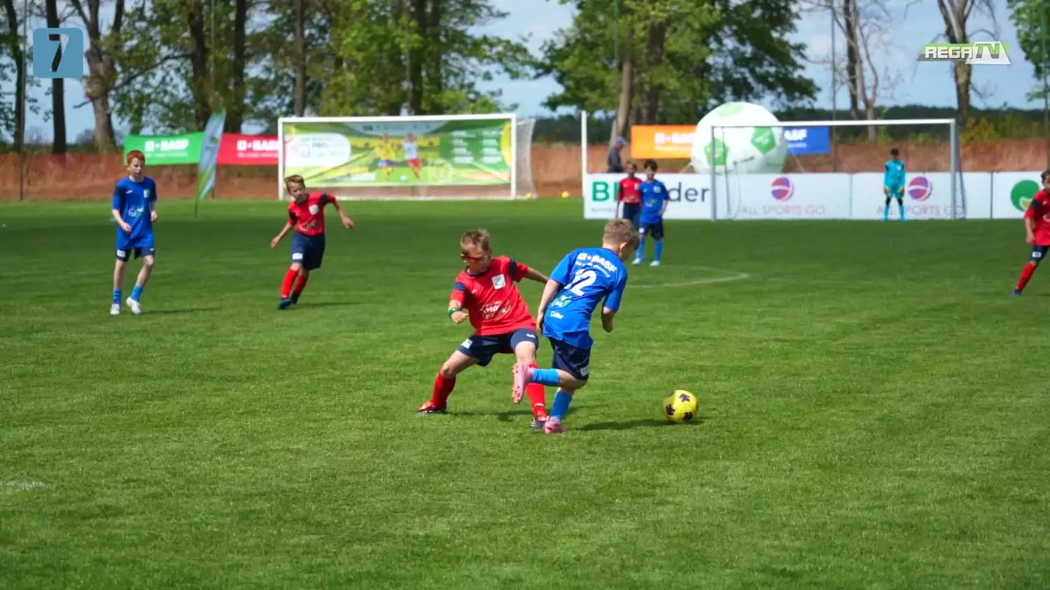 10 lat PROCAM CUP 2026.